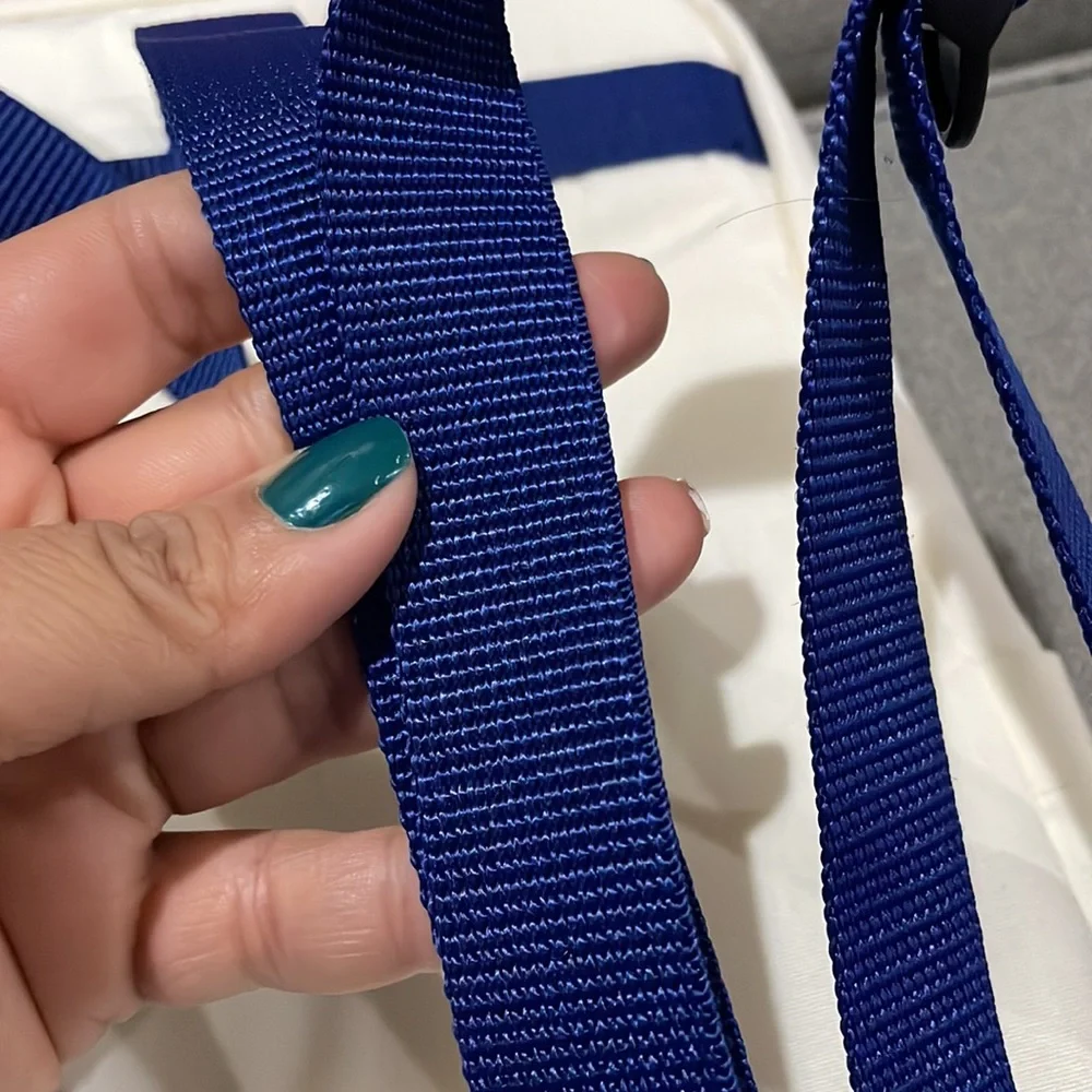 🍁 NEW Aldi Cream with Blue backpack Fall Gear 2023. With tags